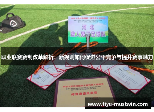 职业联赛赛制改革解析：新规则如何促进公平竞争与提升赛事魅力
