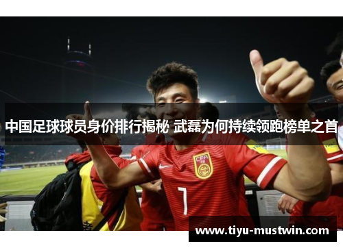 中国足球球员身价排行揭秘 武磊为何持续领跑榜单之首