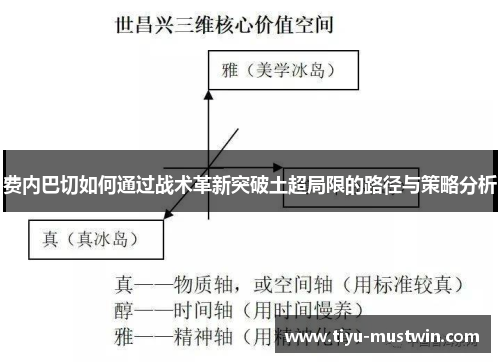 费内巴切如何通过战术革新突破土超局限的路径与策略分析