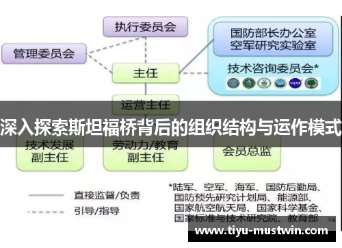 深入探索斯坦福桥背后的组织结构与运作模式