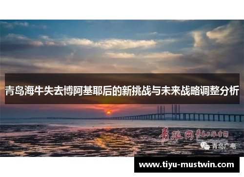 青岛海牛失去博阿基耶后的新挑战与未来战略调整分析