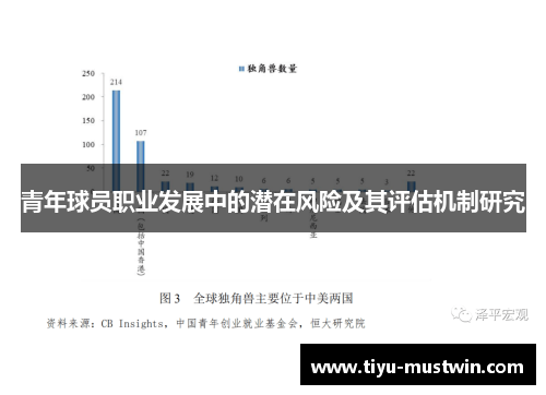 青年球员职业发展中的潜在风险及其评估机制研究