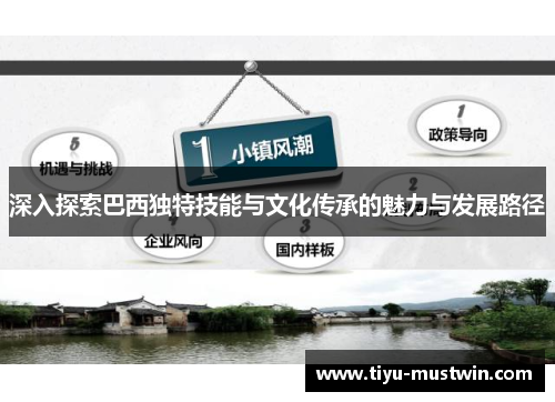 深入探索巴西独特技能与文化传承的魅力与发展路径